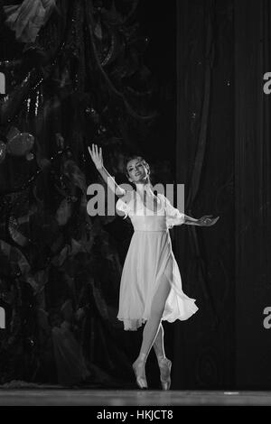 Imperial Russian Ballet ballerini eseguono durante le prove di "El Cascanueces' a Lope de Vega Theatre di Madrid in Spagna. Dove: Madrid La Comunità di Madrid, Spagna Quando: 27 Dic 2016 Credit: Oscar Gonzalez/WENN.com Foto Stock