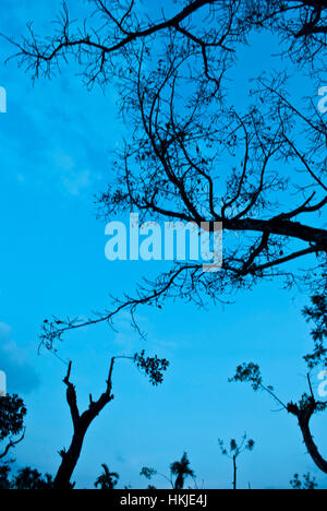 Mangalore a Gokarna, guidare lungo la costa ovest Foto Stock