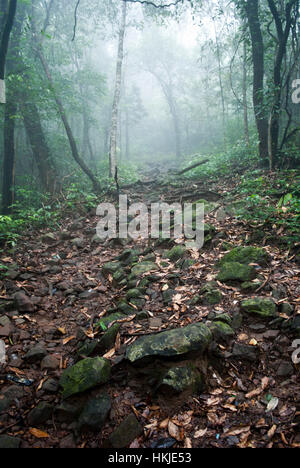 Kumar Parvat i Ghati Occidentali Foto Stock