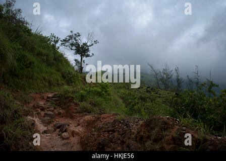 Kumar Parvat i Ghati Occidentali Foto Stock