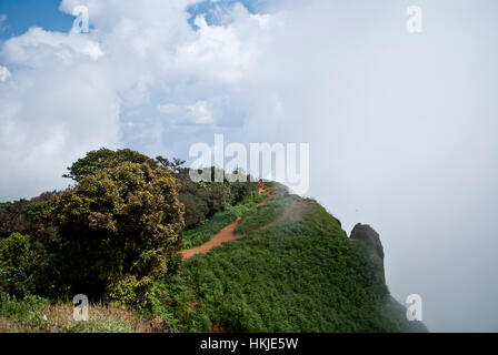 Kodachadri Karnataka i Ghati Occidentali India Foto Stock