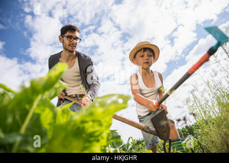 Metà uomo adulto con suo figlio lavora nella comunità giardino, Baviera, Germania Foto Stock