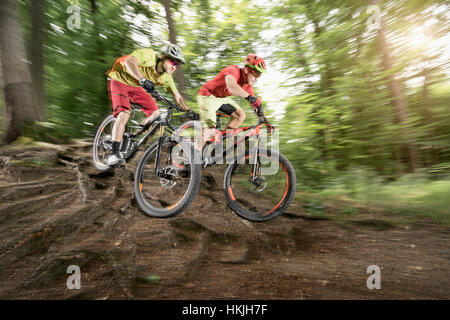 Due mountain bike a cavallo su radici in una foresta, Baviera, Germania Foto Stock