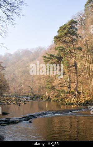 Le viti a testa esagonale incassata sul fiume che scorre attraverso Staward Gorge, Northumberland, England, Regno Unito Foto Stock