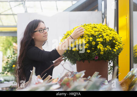 Giovane donna esame di fiori gialli in serra,Freiburg im Breisgau,Baden-Württemberg, Germania Foto Stock