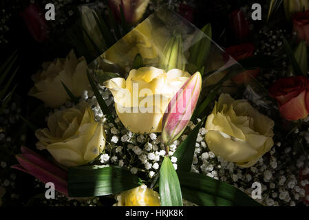 Mazzo di rosa Foto Stock