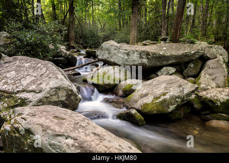 Estate lungo la Roaring Fork River nel Parco Nazionale di Great Smoky Mountains. Foto Stock