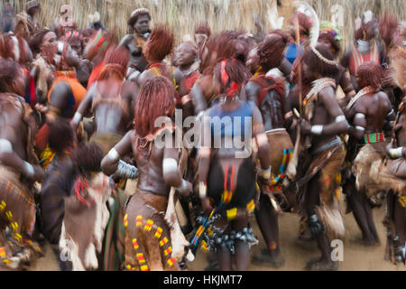 Evan Gadi (Hamer ballo), Hamar tribù la gente ballare il bestiame Jumping, Sud Omo, Etiopia Foto Stock