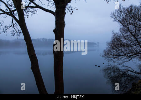 Il lago Baldeneysee, di Essen, in Germania, un serbatoio di fiume Ruhr invernale nebbioso giorno, Foto Stock