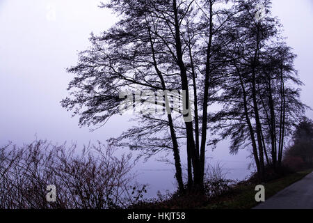 Il lago Baldeneysee, di Essen, in Germania, un serbatoio di fiume Ruhr invernale nebbioso giorno, Foto Stock