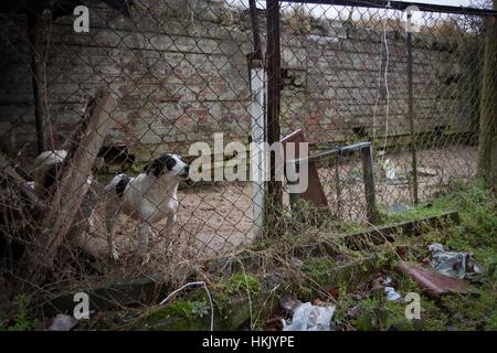 Klomino, Polonia - Gennaio 7, 2012 città fantasma abbandonate nei primi anni novanta da parte dell'esercito sovietico. Foto Stock