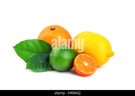 Diversi gli agrumi isolati su sfondo bianco Foto Stock