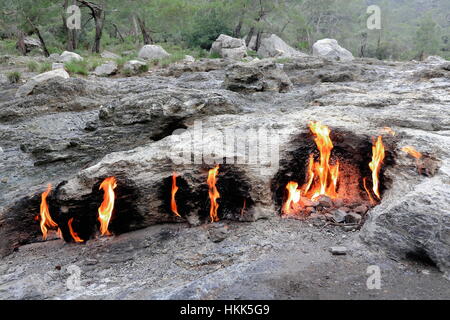 Yanartas o flaming pietra-caratteristica geografica vicino Olympos valle-decine di piccoli costantemente gli incendi di masterizzazione da sfiati nelle rocce-ispirazione per il fi Foto Stock