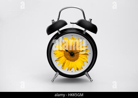 Orologio sveglia con girasole sul viso Foto Stock