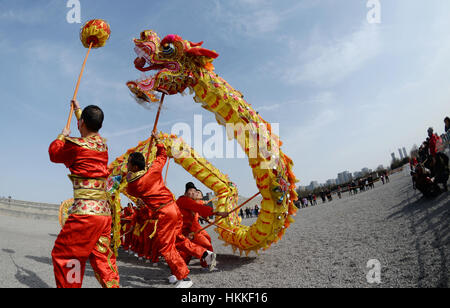 Xi'an, la Cina della provincia di Shaanxi. 29 gen, 2017. Ballerini eseguono un dragon dance per celebrare la festa di primavera al Daming Palace National Heritage Park a Xi'an, capitale della Cina nord-occidentale della provincia di Shaanxi, 29 gennaio, 2017. Credito: Li Yibo/Xinhua/Alamy Live News Foto Stock