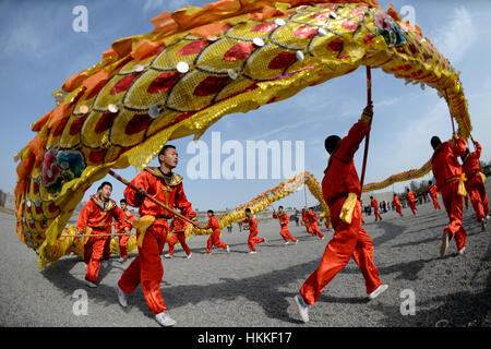 Xi'an, la Cina della provincia di Shaanxi. 29 gen, 2017. Ballerini eseguono un dragon dance per celebrare la festa di primavera al Daming Palace National Heritage Park a Xi'an, capitale della Cina nord-occidentale della provincia di Shaanxi, 29 gennaio, 2017. Credito: Li Yibo/Xinhua/Alamy Live News Foto Stock