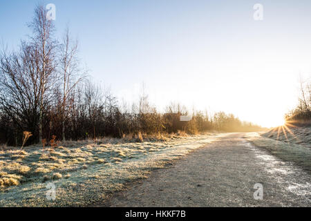 Un Dorato alba su una mattina congelati nel Regno Unito Foto Stock