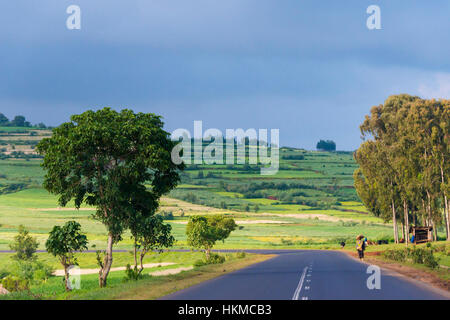 La strada attraverso i terreni agricoli, Bahir Dar, Etiopia Foto Stock