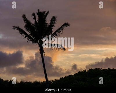 Sunset, Cam Bay, Orientale Tortola, Isole Vergini Britanniche. Foto Stock