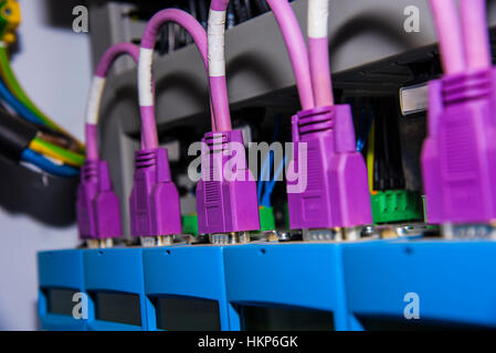 I fili collegati a server di rete di computer elettronica i fili viola Foto Stock