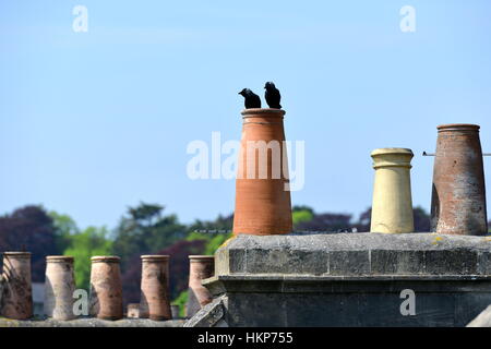 Vista sul tetto di comignoli Foto Stock