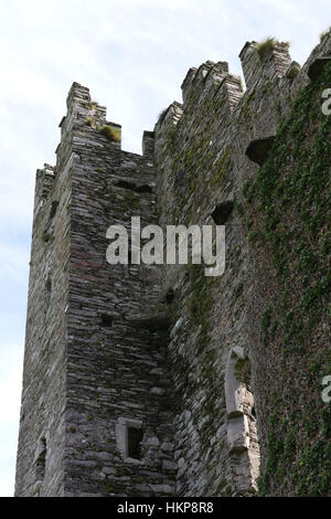 Ballycarbery Castle vicino a Cahersiveen, Conty Kerry, Irleand. Foto Stock