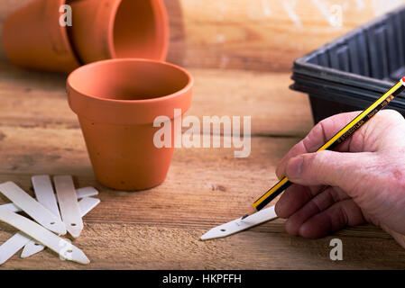 Scrittura su etichetta di pianta prima di seminare seeds. Che lavora in un capannone o serra, su un banco di potting. Foto Stock
