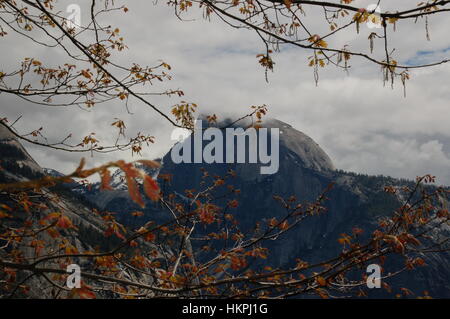Mezza cupola rivestita di uno strato di nubi in Yosemite Valley, CA. Foto è stata scattata da Yosemite Falls trail. Foto Stock