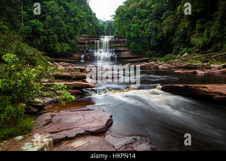 Maliau cascate, Maliau Basin Area di Conservazione, Sabah Borneo, Malaysia, Asia da Monika Hrdinova/Dembinsky Foto Assoc Foto Stock