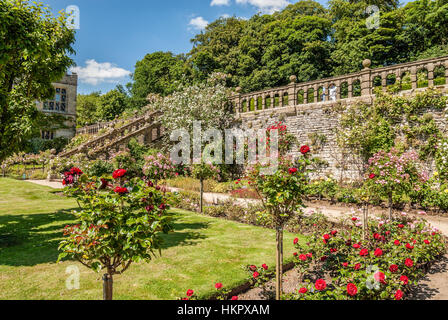 Giardino di rose a Norman Castle Haddon Hall vicino a Bakewell, Derbyshire, Inghilterra centrale Foto Stock