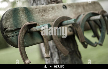 Ferri di cavallo vecchio appendere su un supporto attaccato a un albero in attesa del prossimo gioco. Foto Stock