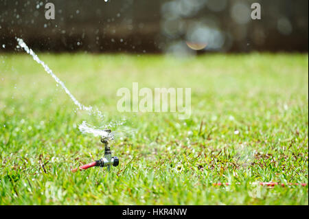 Spruzzi di acqua dagli sprinkler sul prato in erba verde Foto Stock