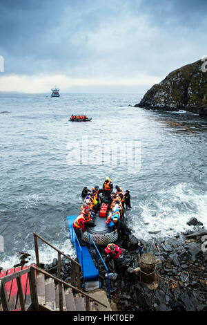 Stella Australis crociera a Capo Horn - dinghy alaggio a Capo Horn isole natonal park Foto Stock