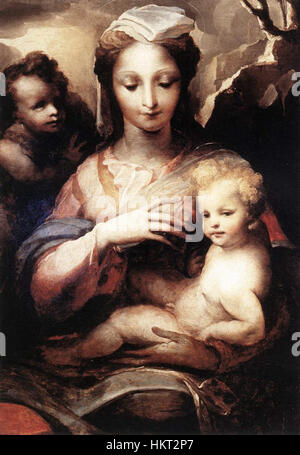 Domenico Beccafumi - Madonna con il Bambino di Cristo e San Giovanni Battista - WGA01552 Foto Stock