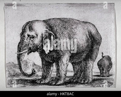 "Elefante (versi animali)" è un dipinto ad olio con un elefante, presentato in uno stile dettagliato e antico. L'opera cattura la forma e la grandezza dell'animale attraverso una lente artistica vintage, con intricate pennellate che esemplificano le tecniche d'arte classica nella rappresentazione animale. Foto Stock