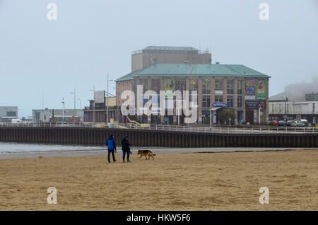 Weymouth Dorset, Regno Unito. Il 30 gennaio 2017. Regno Unito Meteo. Dog walkers sulla spiaggia a piedi verso il Padiglione di Weymouth, Dorset su un umido e nebbioso pomeriggio. Credito Foto: Graham Hunt/Alamy Live News. Foto Stock