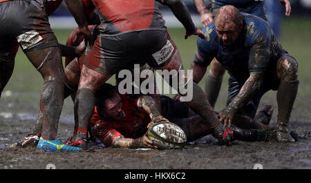 Newcastle Falcons Alex Tait durante il Anglo-Welsh Cup match a Rodney Parade, Newport. Foto Stock