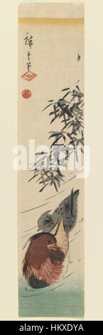 Questa stampa a blocchi di legno di Utagawa Hiroshige (Ando) raffigura un paio di anatre mandarine, che mostrano la raffinata tecnica di Hiroshige nel catturare la bellezza naturale e la vita animale, parte della collezione del Brooklyn Museum. Foto Stock