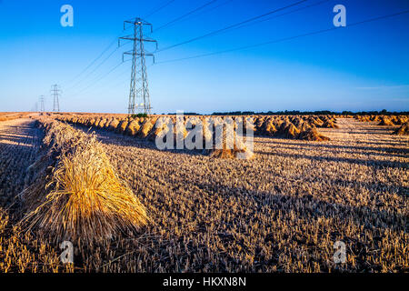 Stooks tradizionale giustapposto contro le moderne torri di elettricità in un campo nel Wiltshire, Regno Unito. Foto Stock