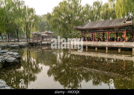 Il lago con padiglione, Ritan Park, Pechino, Cina Foto Stock