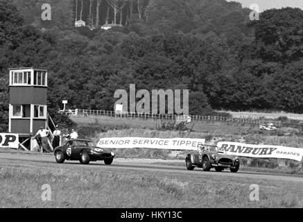 1964 Roy Salvadori GB dnf Peter Sutcliffe GB XV Jaguar E-Type Tourist Trophy Goodwood GG Foto Stock