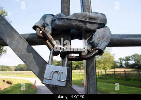 Lucchetto in acciaio sul cancello di ferro con i campi in background Foto Stock