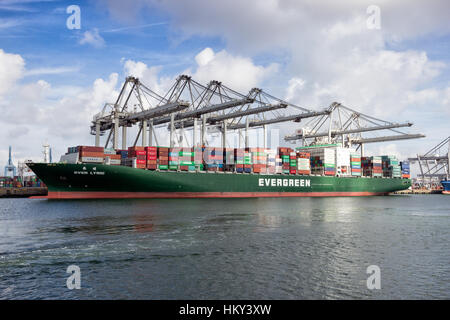 ROTTERDAM, PAESI BASSI - Mar 16, 2016: Contenitore ship mai Lyric da Evergreen ormeggiata presso l'ECT terminale per container nel porto di Rotterdam. Foto Stock