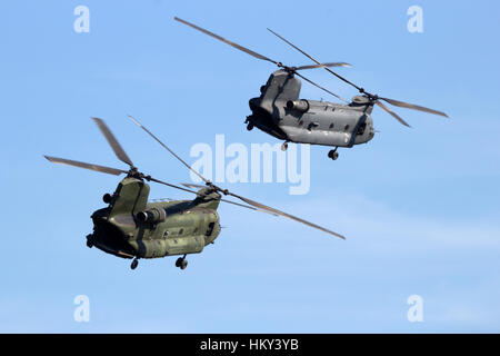 GILZE-Rijen, Paesi Bassi - 7 SET 2016: Royal Netherlands Air Force CH-47 Chinook elicotteri di trasporto. Foto Stock