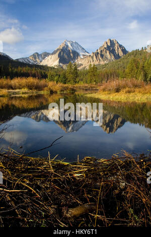 Castello (11,815 piedi) e Merriam (10,920) picchi riflettono in un castoro stagno in il piccolo Boulder Creek Valley. Sawtooth National Recreation Area, Idaho. Foto Stock