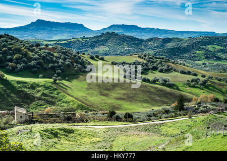 Tipico paesaggio terrestre della Sicilia: altopiani di Enna e Calascibetta sullo sfondo Foto Stock