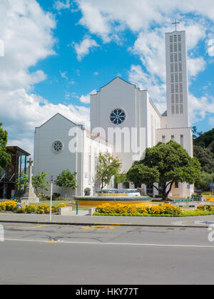 Waiapu Cattedrale di San Giovanni Evangelista, Napier, Nuova Zelanda Foto Stock