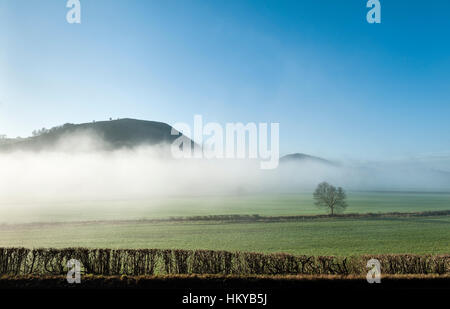 Herrock Colle (Offa's Dyke percorso nei pressi di Kington, Herefordshire, UK) sale al di sopra della nebbia in un freddo inverno mattina Foto Stock