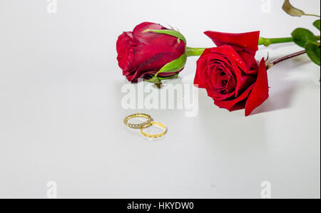 Rosso brillante di rose e chiodi di pietra oro gli anelli di aggancio per il giorno di san valentino isolato in uno sfondo bianco. Foto Stock