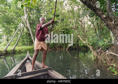 I barcaioli con punting pole, Kerala Backwaters, India Foto Stock